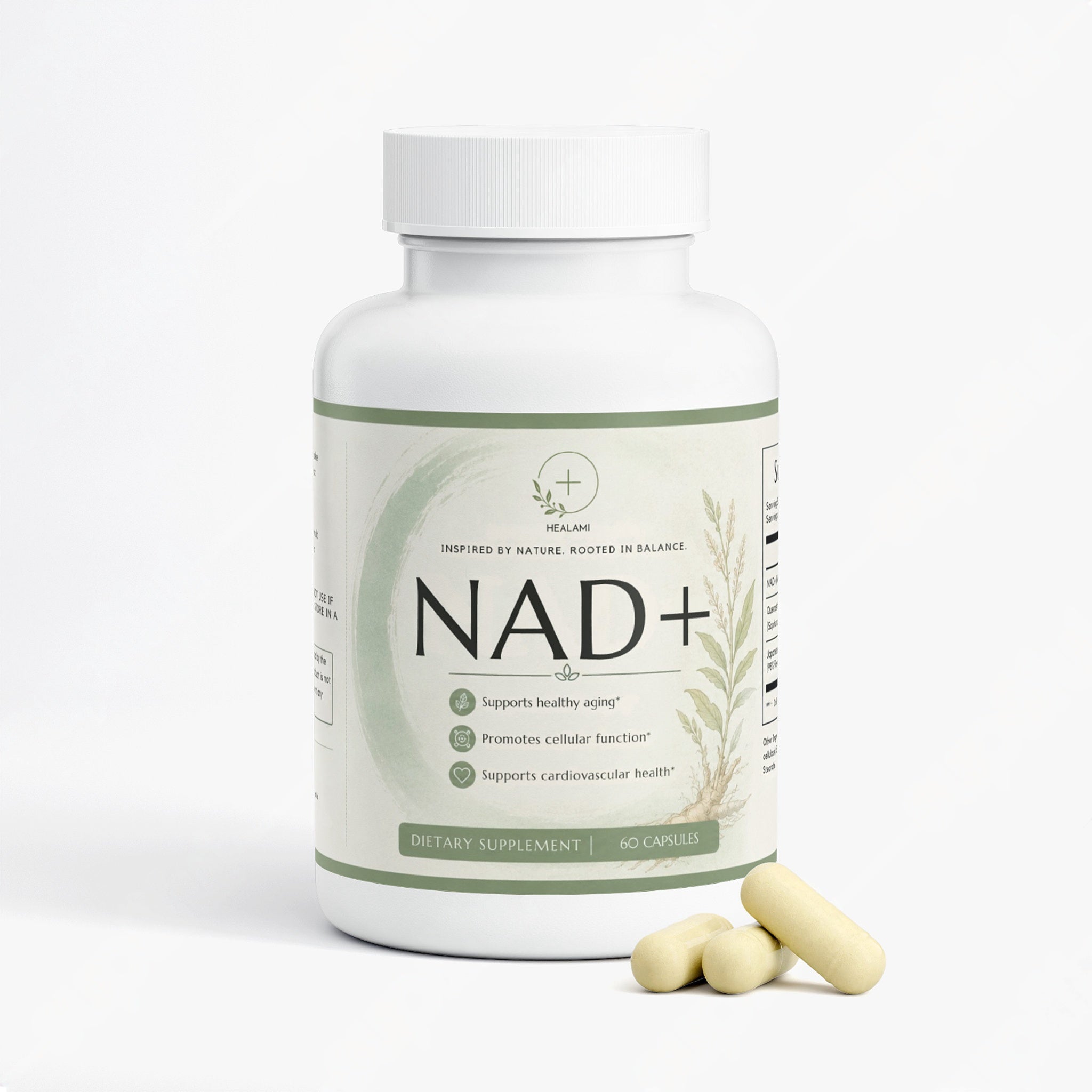 NAD+ Reverse-Aging